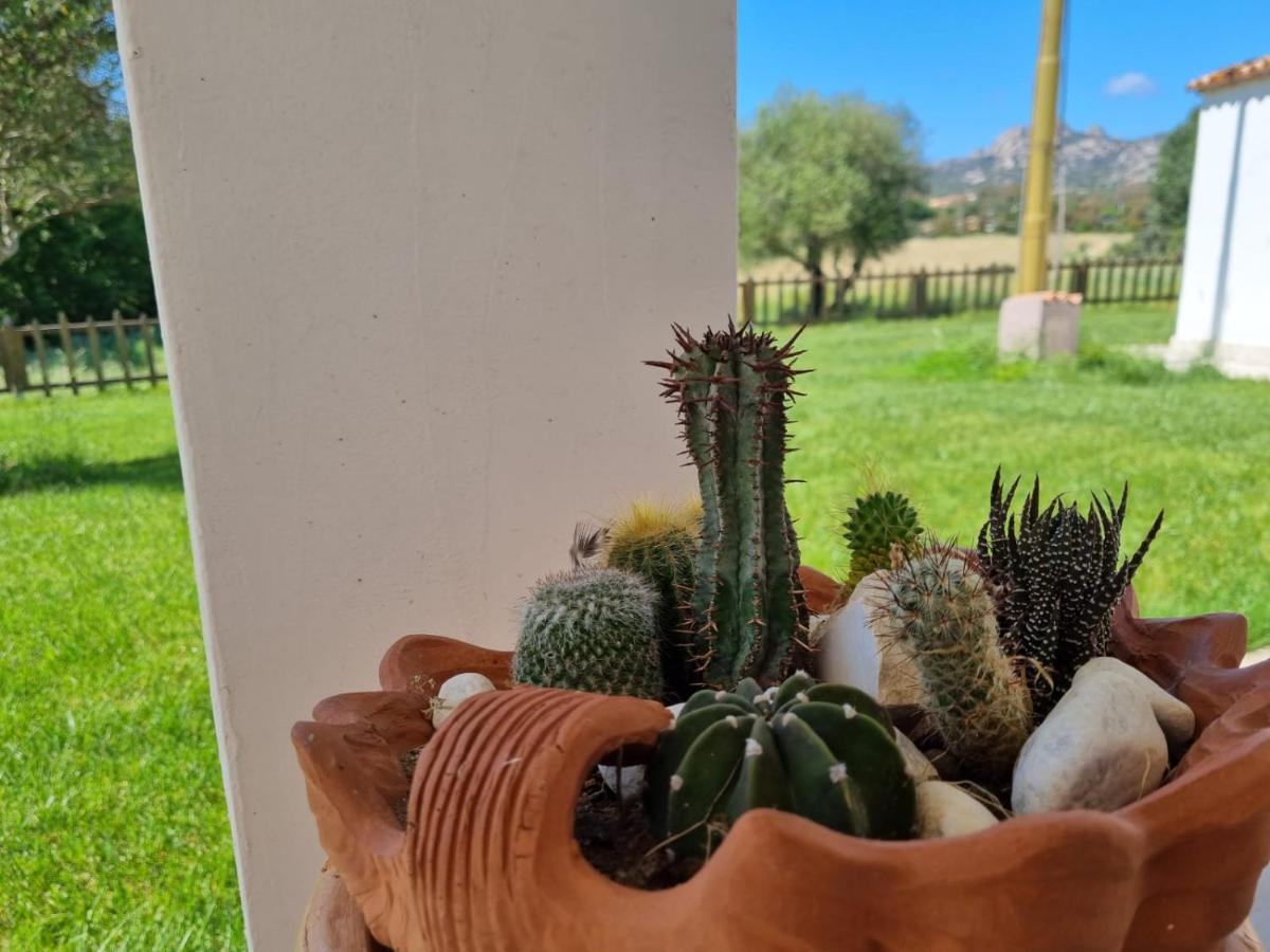 Lu Antu Alloggi Agrituristici Arzachena Eksteriør billede