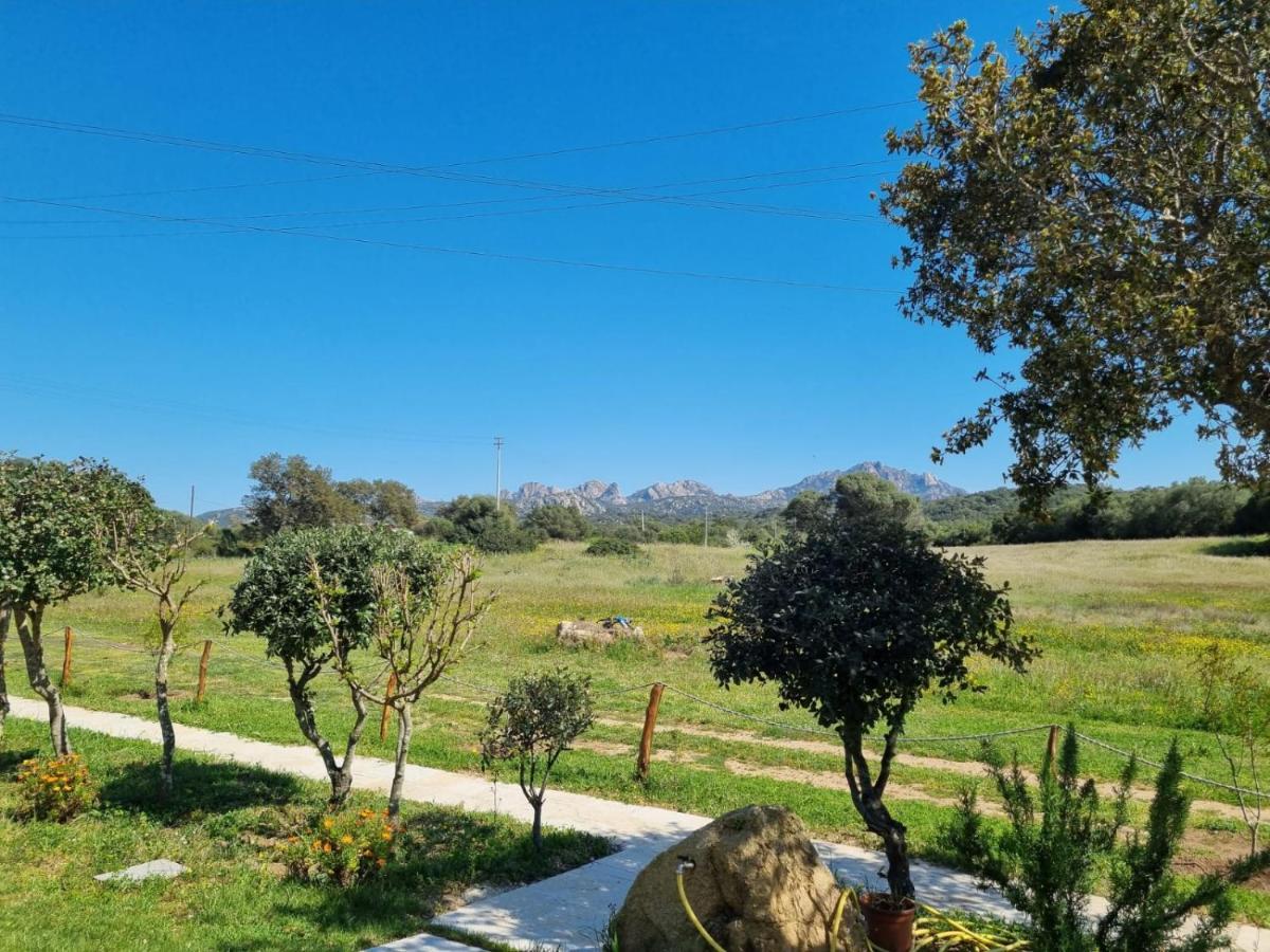 Lu Antu Alloggi Agrituristici Arzachena Eksteriør billede